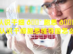 认识干细 🐴 胞思 🐘 维导图（认识干细胞思维导图怎么画）